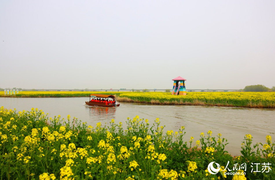 湖光与花海相映。