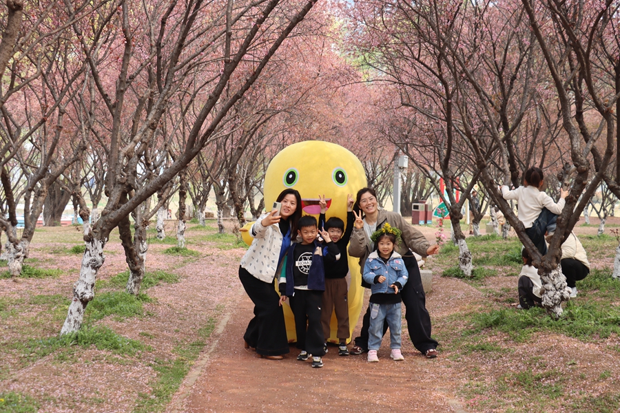 连云港东海县文旅市场迎来春假开门红【5】