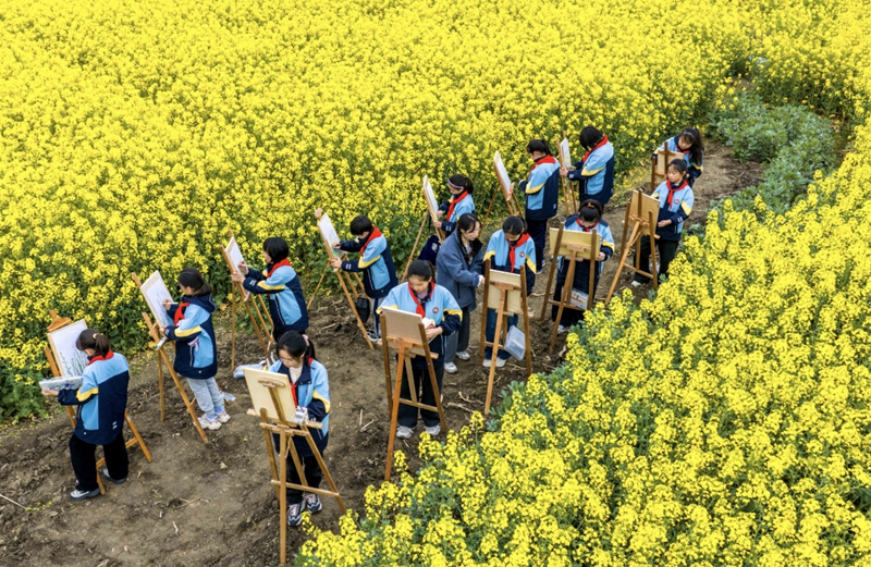 學生們在油菜花田繪畫寫生。周社根攝
