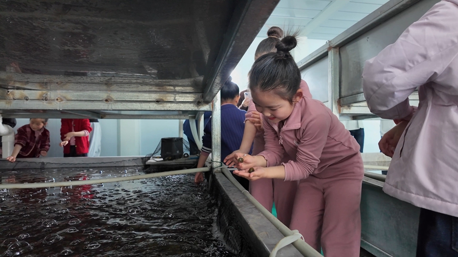 在蒋坝镇，孩子们了解螺蛳有关的知识。左泽瑞摄