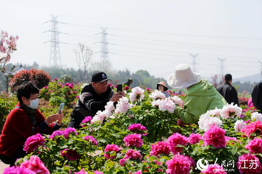 市民游客在牡丹园内打卡拍照。人民网记者 王丹丹摄