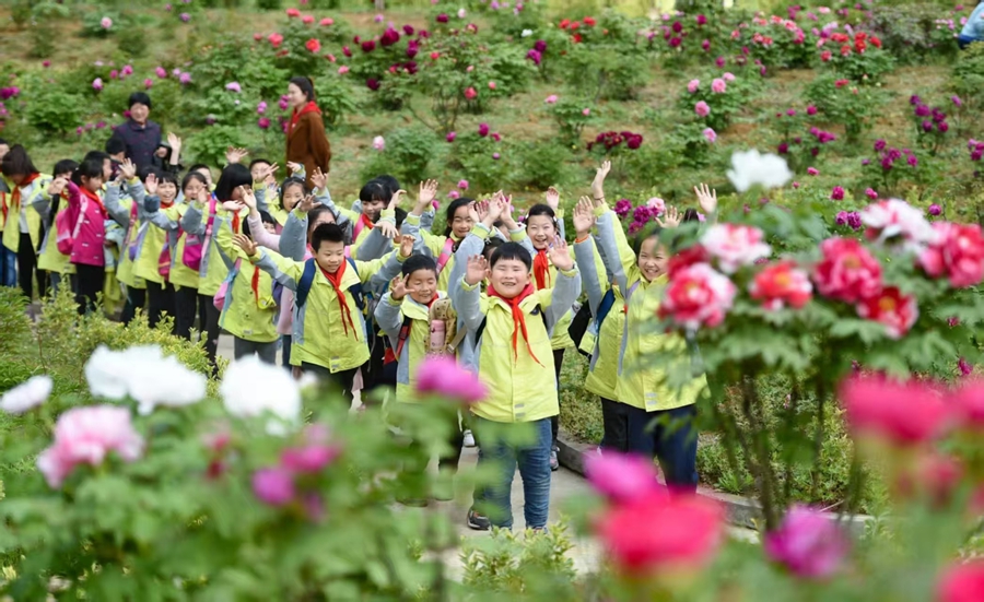 当地学生走进溧水牡丹园研学。张小钦摄
