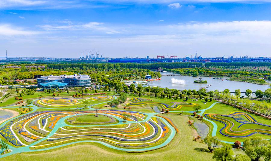 洲际梦幻岛春日美景。周社根摄
