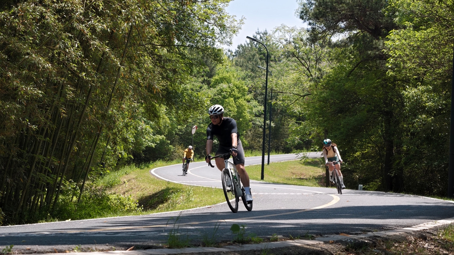 活动现场。高淳区委宣传部供图