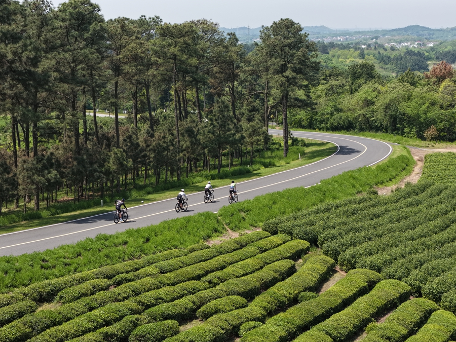 活动现场。高淳区委宣传部供图