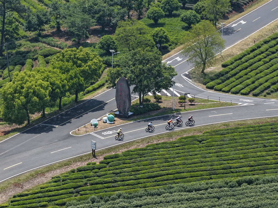 活动现场。高淳区委宣传部供图