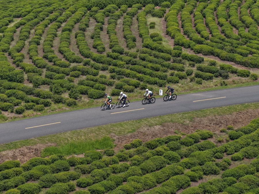 活动现场。高淳区委宣传部供图