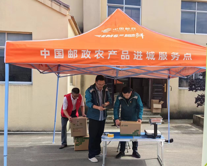 茶叶邮寄服务点 。江苏邮政供图