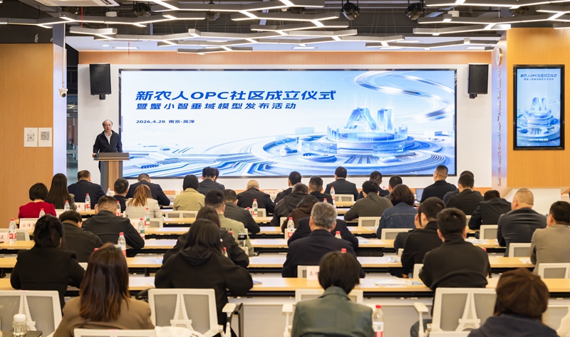 活动现场。高淳区融媒体中心供图