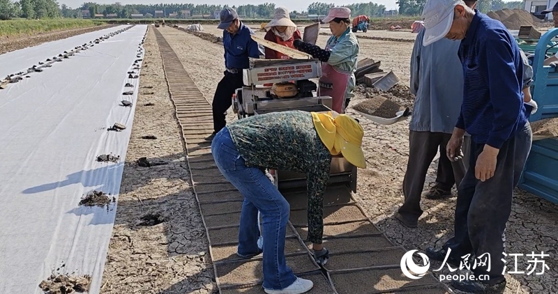 5月中旬，青沟村糯稻种植户开始育秧工作。人民网 崔小倩摄
