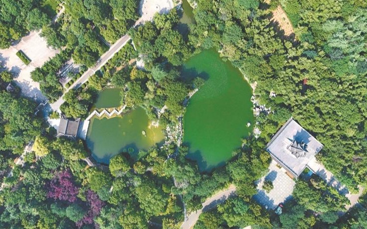 绿意满城 徐州无名山公园风景如画