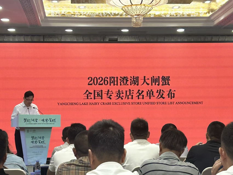 活动现场。