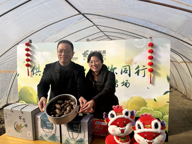 南通邮政帮农户对接直播平台。