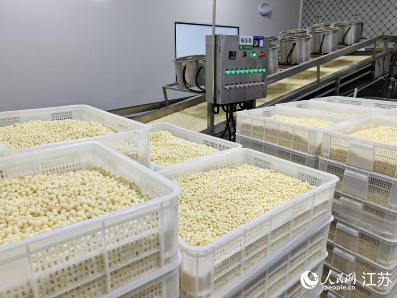 淮安区一家食品企业新引进了芡实液氮速冻线，60秒即可锁鲜。人民网 江楠摄