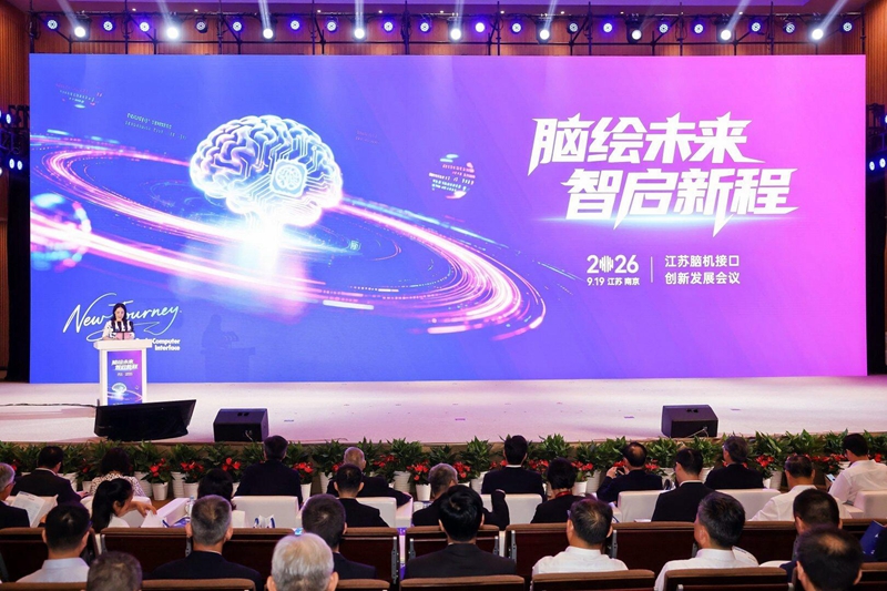 活动现场。栖霞区委宣传部供图