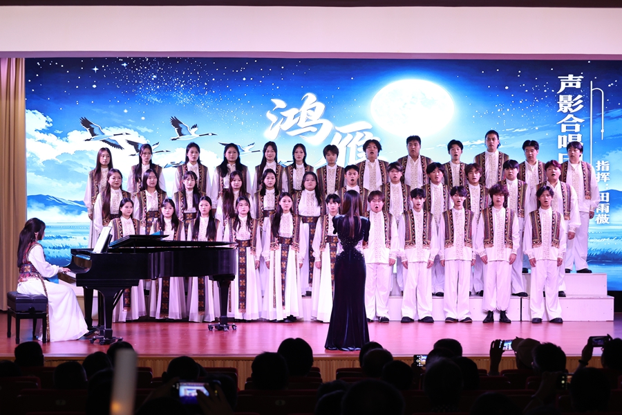 演出现场。南京溧水开发区供图