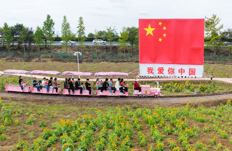 黄花塘镇向阳花海游客体验小火车。许昌银摄