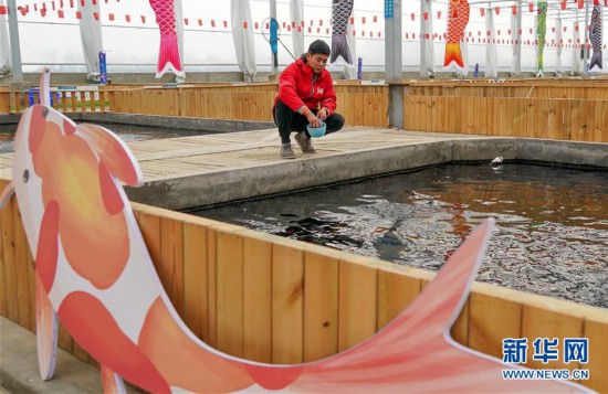 �����ã���4�����ݼ����������Ρ����¸�·