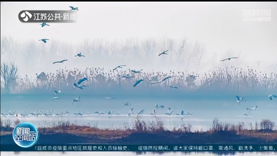 ��������Ǩ�����״η��ֳ�Ⱥ�������� �������ʯ