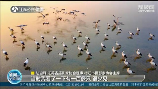 ��������Ǩ�����״η��ֳ�Ⱥ�������� �������ʯ