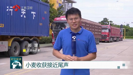 小麥收獲接近尾聲 江蘇全省夏糧全面開秤收購