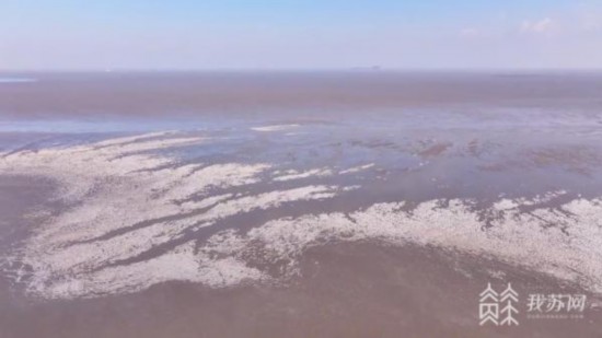 氣溫驟降 連雲港海邊現冰凌奇觀