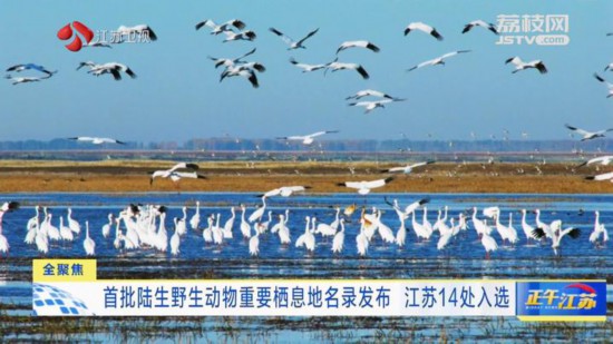 首批陸生野生動物重要棲息地名錄發布 江蘇14處入選
