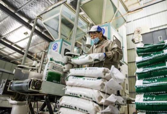 通州推動大米向品牌化運營縱深發展