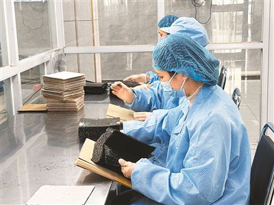 在连云港市的一处紫菜一次加工企业，工人们在检查干紫菜。本报记者 丁美栋摄