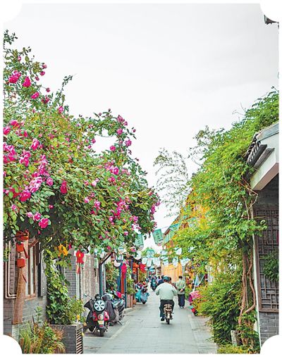 更新后的仁丰里历史文化街区。吕跃中摄