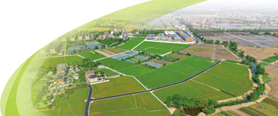 俯瞰浙江杭州余杭区良渚街道北片八村片区。陈 铭摄