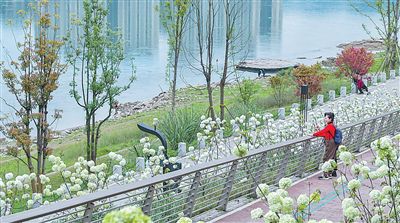 市民在治理一新的重慶市九龍坡區九龍半島濱江步道享受靜謐時光。西班牙籍餐廳經營者 胡安·曼努埃爾·卡馬喬攝